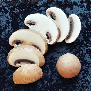 Minichamp Kit Champignons de Paris Blanc à Faire Pousser